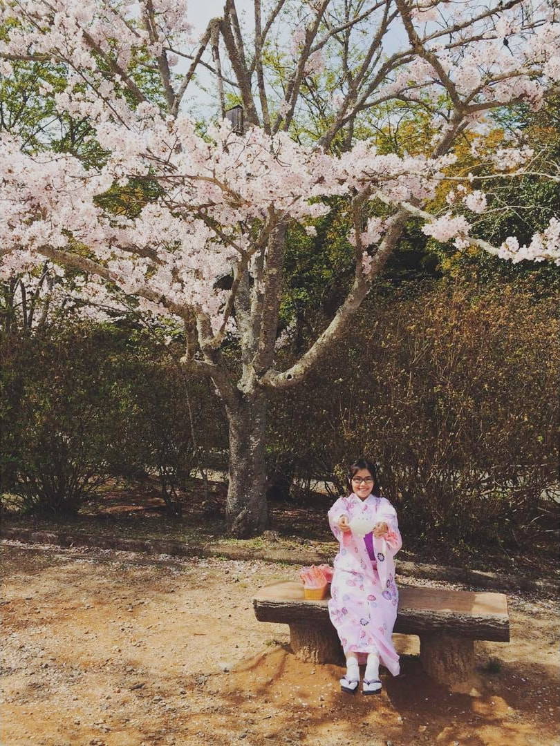 10 Days Japan Trip&nbsp;Itinerary