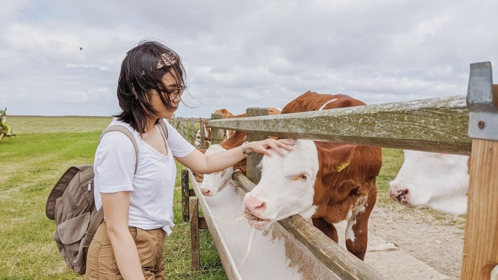 How to Love Our&nbsp;Earth