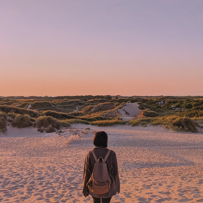 Discovering The Sand Dune of&nbsp;Denmark