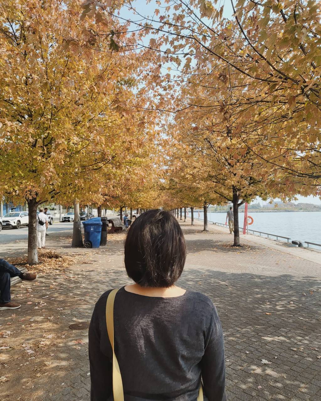 10 Toronto Highlights